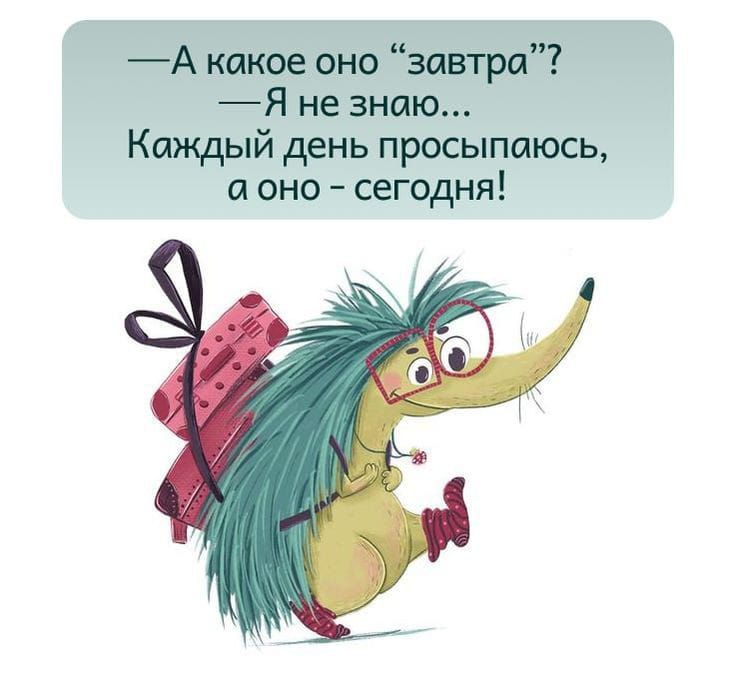 — А какое оно «завтра»? — Я не знаю... Каждый день просыпаюсь, а оно – сегодня!