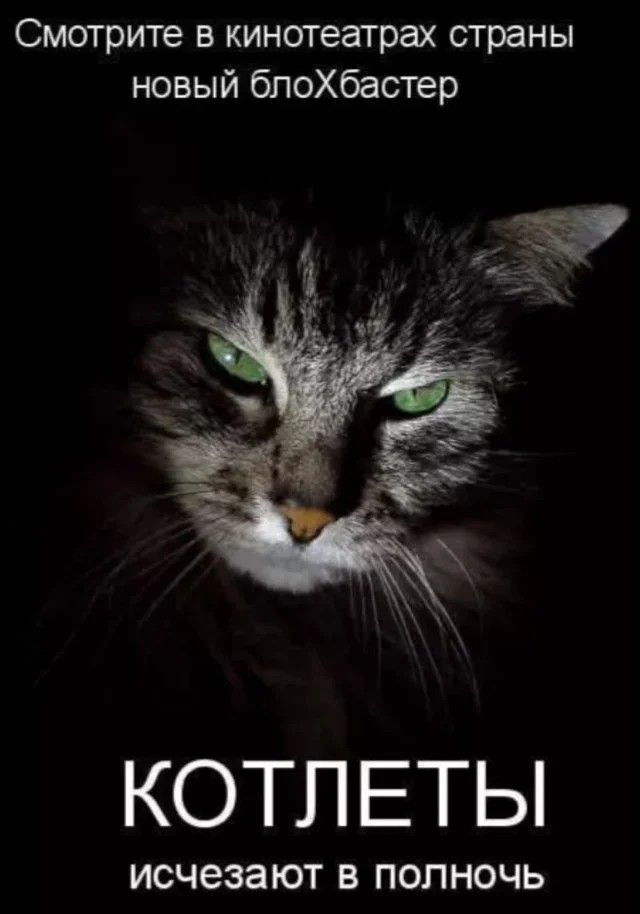 Смотрите в кинотеатрах страны новый блоХбастер КОТЛЕТЫ исчезают в полночь