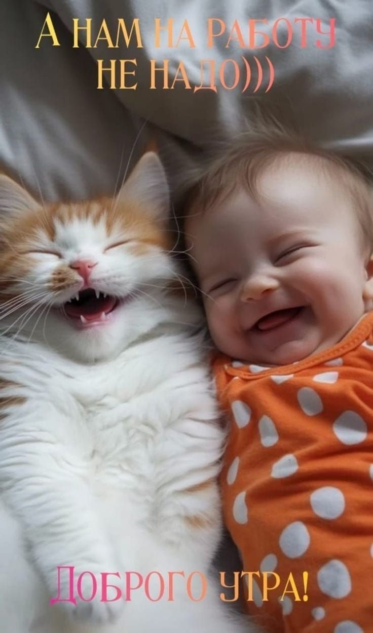 А НАМ НА РАБОТУ НЕ НАДО))) ДОБРОГО УТРА!