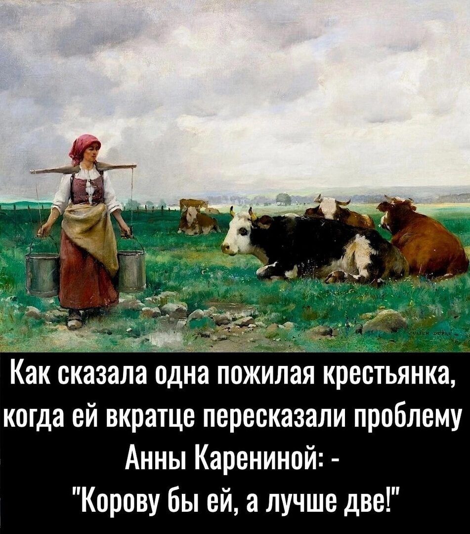 Как сказала одна пожилая крестьянки когда ей вкратце пересказали проблему Анны Карениной Кпрову бы ей а лучше две