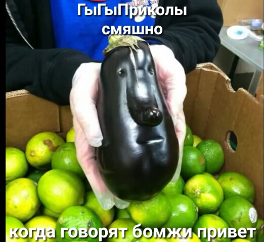 _ когда гоёорят бомжи приве