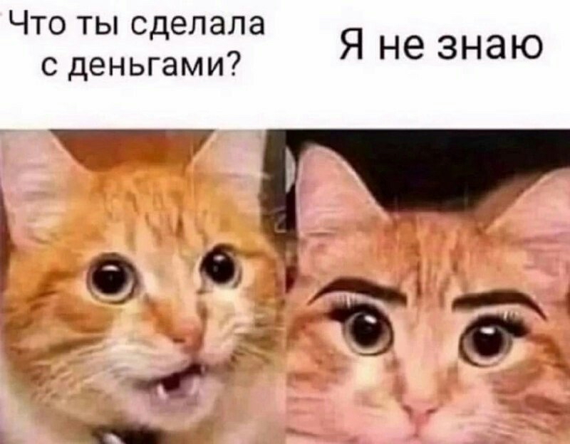 Что ты сделала с деньгами Я не знаю Ъ Ах _