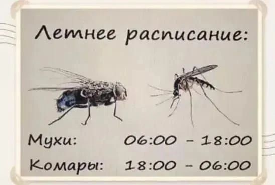 Аемнее расписание так Мухи 0600 1800 Комары 1800 0600