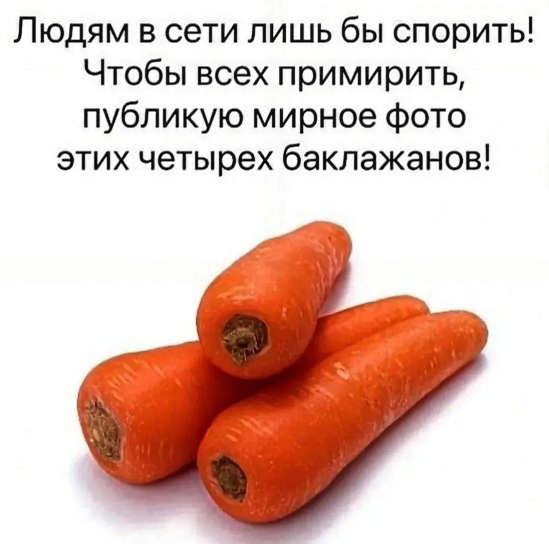 Людям в сети лишь бы спорить Чтобы всех примирить публикую мирное фото этих четырех баклажанов