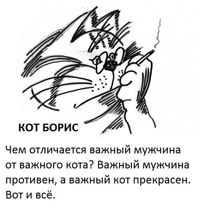 КОТ БОРИС ЧЕМ ОТЛИЧЭЕТСЯ важный МУЖЧИНЗ от важного кота Важный мужчина противен а важный кот прекрасен Вот и всё