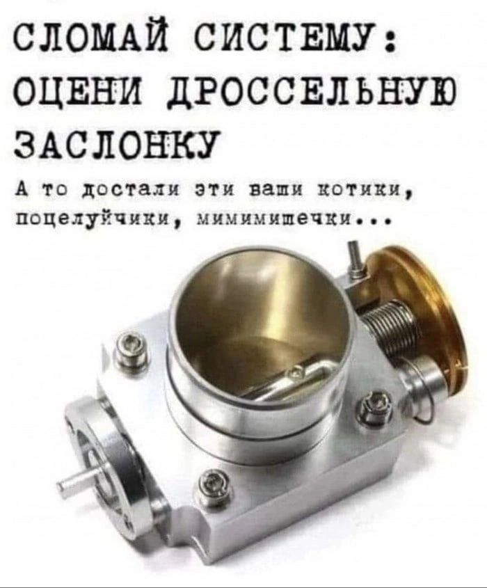 слощи систвму оцнни дгоссвльшт ЗАСЛОНКУ А то достали эти ваши капчи поцелуйчики мимимишечхи
