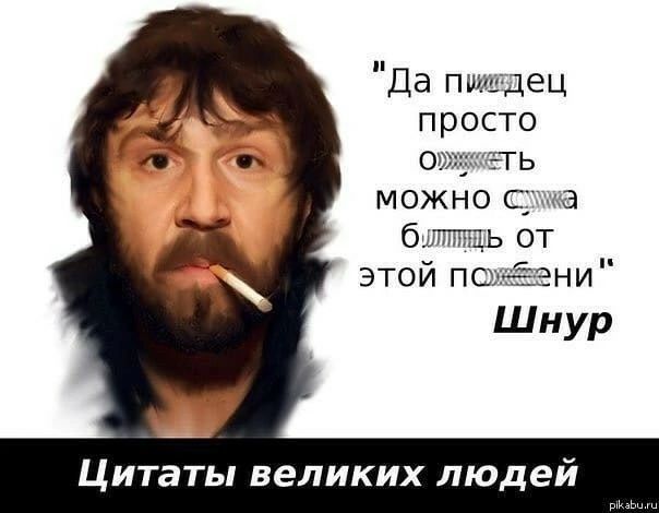 Да пшлидец просто ть можно с а бют ть от этой по ШНУР Цитаты великих людей