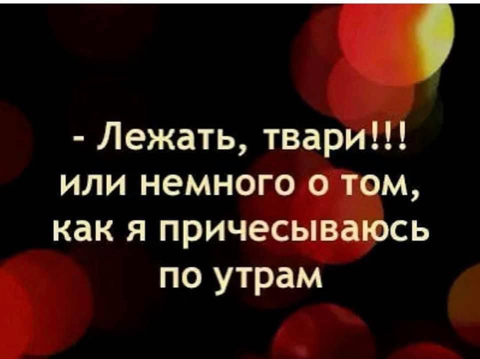 Лежать твари или немного М как я причес сь по утрам к а Ч