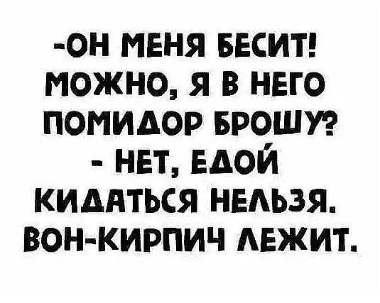 ОН МЕНЯ БЕСИТ МОЖНО Я В НЕГО ПОМИДОР БРОШУ НЕТ ЕДОЙ КИДАТЬСЯ НЕЛЬЗЯ ВОН КИРПИЧ ЛЕЖИТ