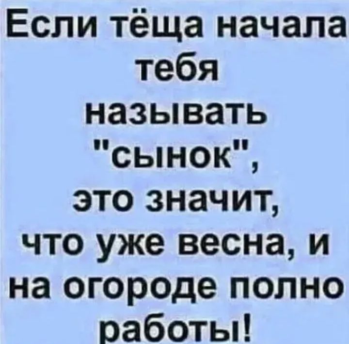 Если тёща начала тебя назвать 