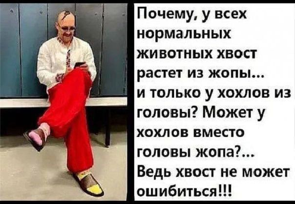 Почему, у всех нормальных животных хвост растет из жопы... и только у хохлов из головы? Может у хохлов вместо головы жопа?... Ведь хвост не может ошибиться!!!