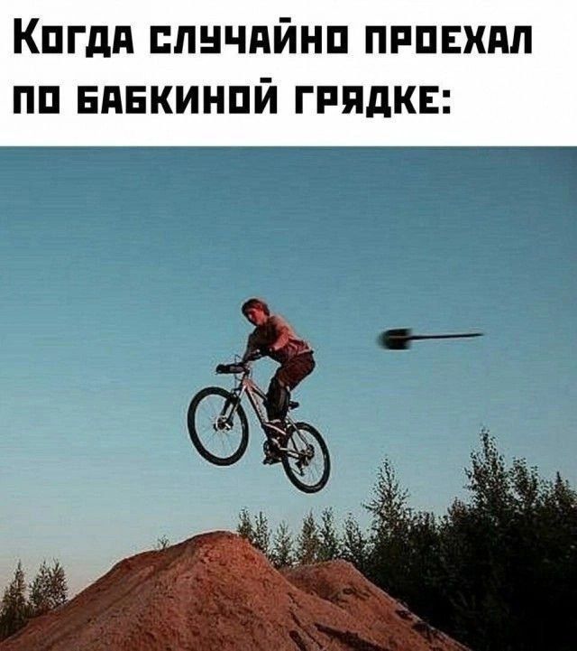 Когда случайно проехал по бабкиной грядке: