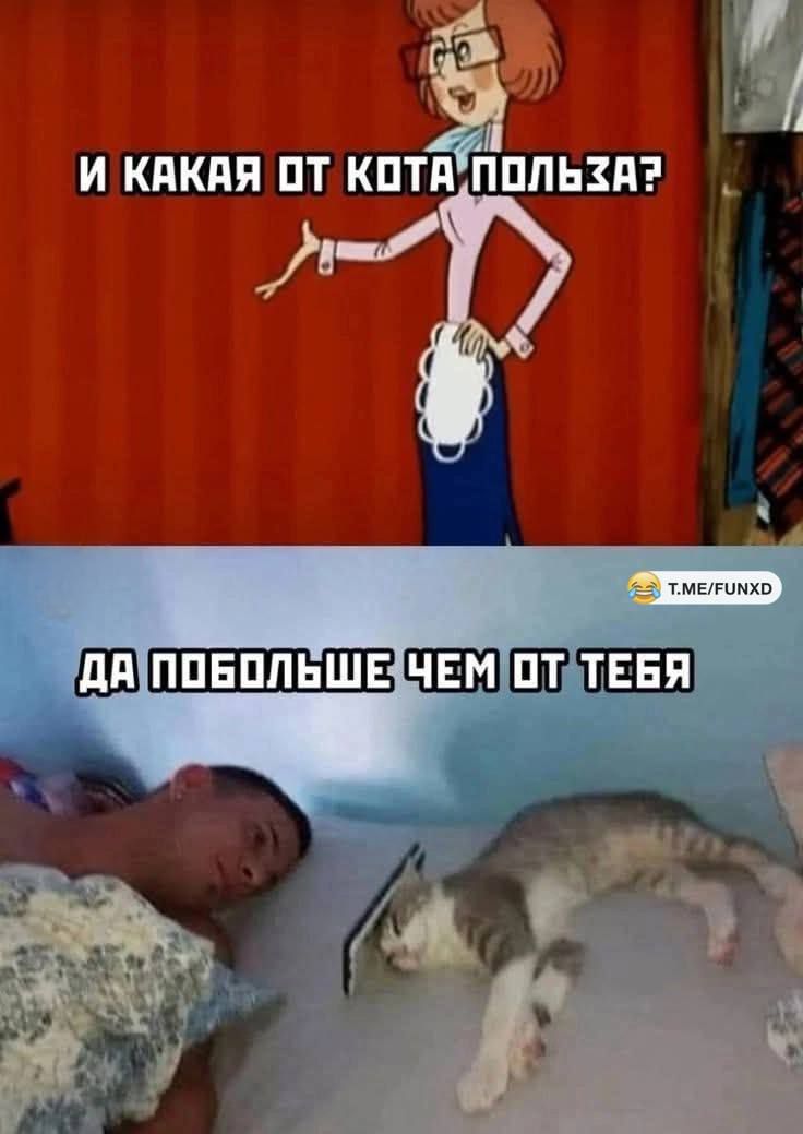 И какая от кота польза?
Да побольше чем от тебя.