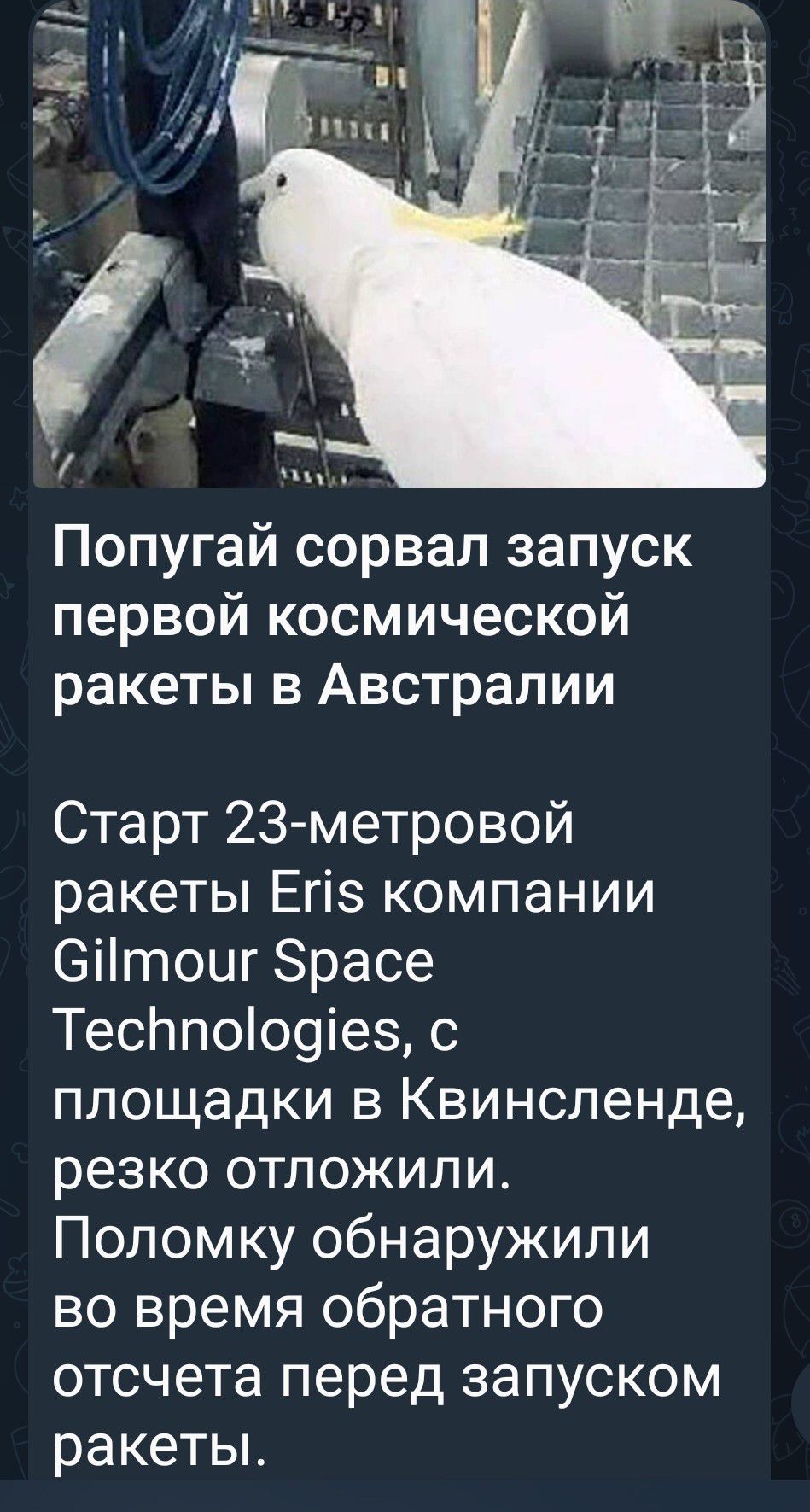 Попугай сорвал запуск первой космической ракеты в Австралии
Старт 23-метровой ракеты Eris компании Gilmour Space Technologies, с площадки в Квинсленде, резко отложили. Поломку обнаружили во время обратного отсчета перед запуском ракеты.