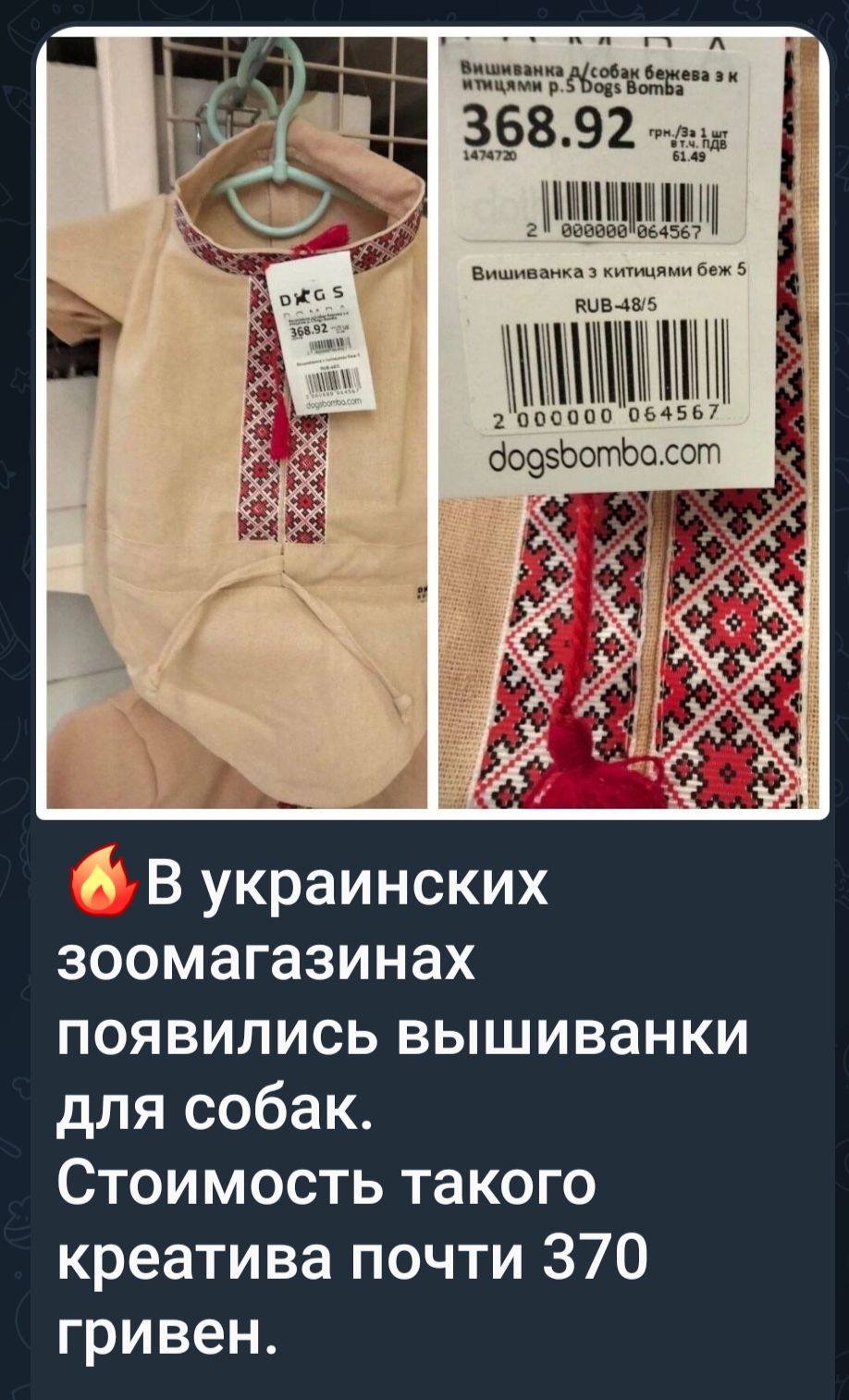 🔥В украинских зоомагазинах появились вышиванки для собак. Стоимость такого креатива почти 370 гривен.