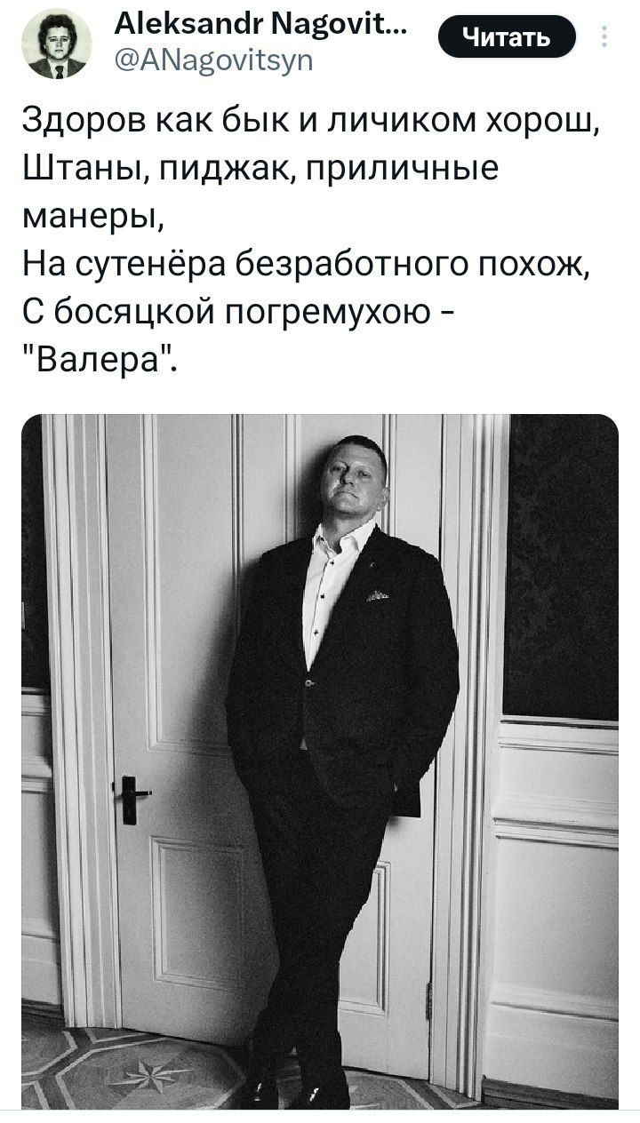 Здоров как бык и личиком хорош,
Штаны, пиджак, приличные манеры,
На сутенёра безработного похож,
С боссочкой погремухою – 