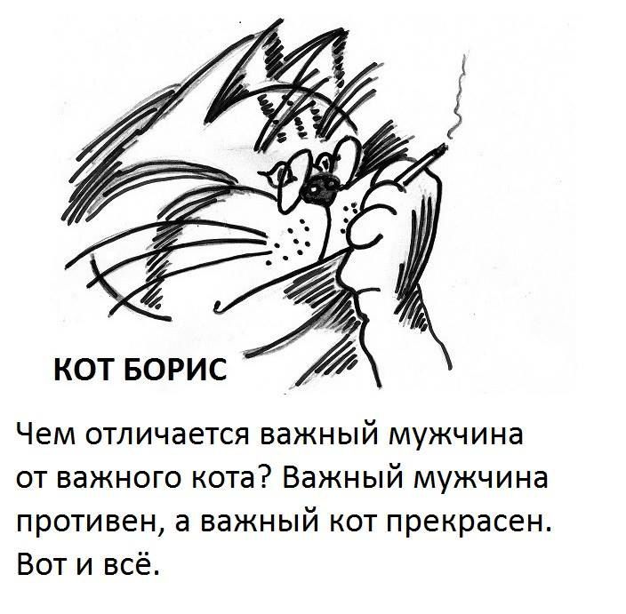 КOT БОРИС

Чем отличается важный мужчина от важного кота? Важный мужчина противен, а важный кот прекрасен. Вот и всё.