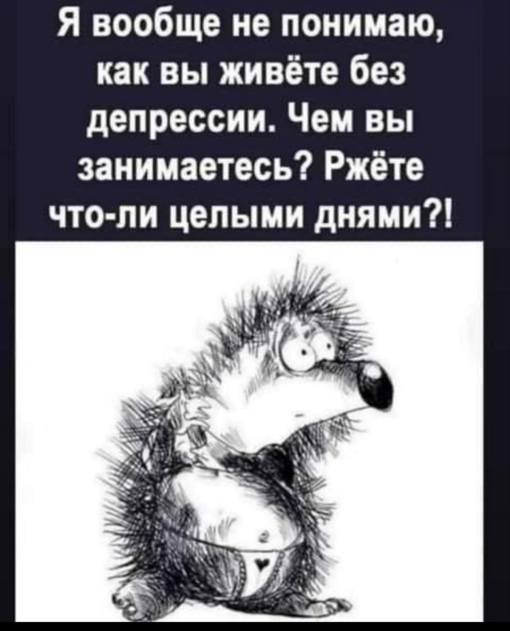 Я вообще не понимаю, как вы живёте без депрессии. Чем вы занимаетесь? Жёте что-ли целыми днями?!