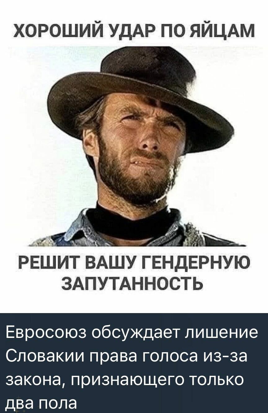 ХОРОШИЙ УДАР ПО ЯЙЦАМ РЕШИТ ВАШУ ГЕНДЕРНУЮ ЗАПУТАННОСТЬ
Евросоюз обсуждает лишение Словакии права голоса из-за закона, признающего только два пола