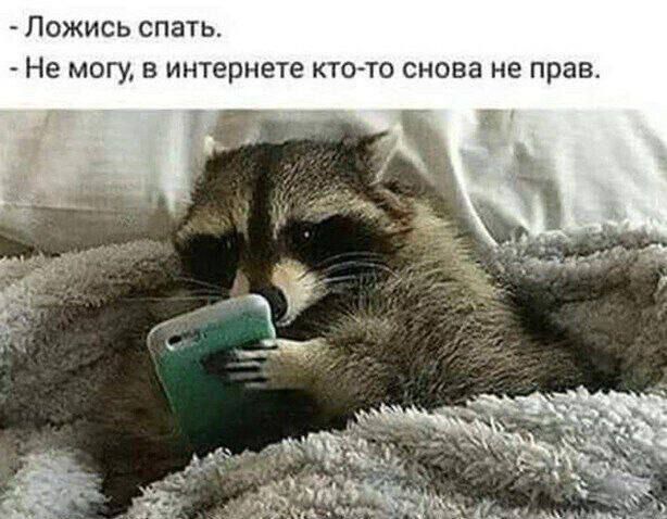 - Ложись спать.
- Не могу, в интернете кто-то снова не прав.