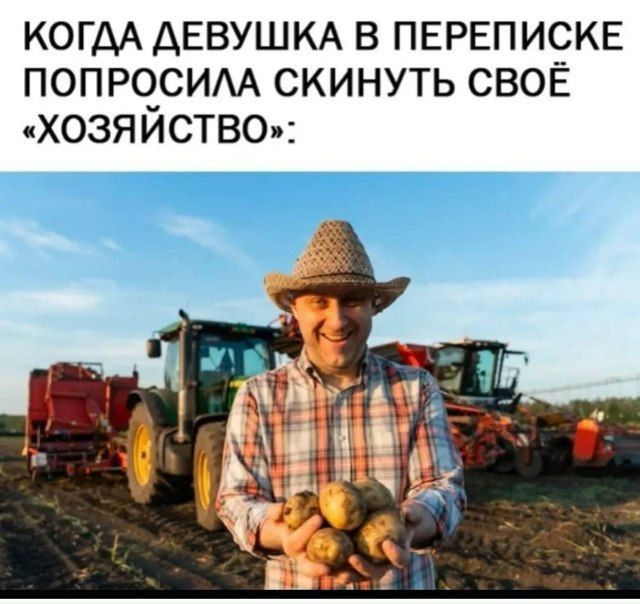 КОГДА ДЕВУШКА В ПЕРЕПИСКЕ ПОПРОСИЛА СКИНУТЬ СВОЁ «ХОЗЯЙСТВО».