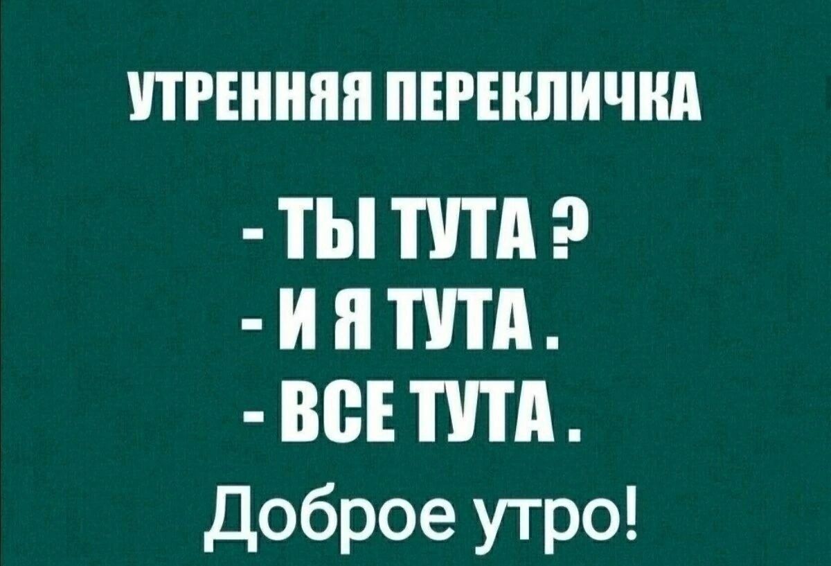 УТРЕННЯЯ ПЕРЕКЛИЧКА
- ТЫ ТУТА ?
- И Я ТУТА .
- ВСЕ ТУТА .
Доброе утро!