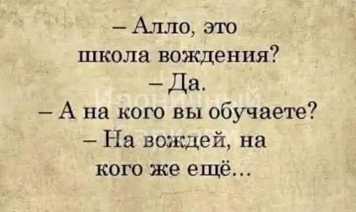 – Алло, это школа вождения? – Да. – А на кого вы обучаете? – На воджей, на кого же ещё…