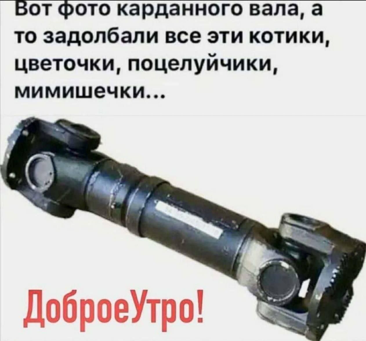 Вот фото карданного вала, а то задолбали все эти котики, цветочки, поцелуйчики, мимишечки... ДоброеУтро!