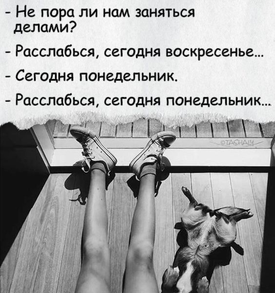 - Не пора ли нам заняться делами?
- Расслабься, сегодня воскресенье...
- Сегодня понедельник.
- Расслабься, сегодня понедельник...
