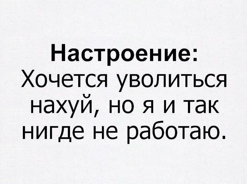 Настроение: Хочется увольиться нахуй, но я и так нигде не работаю.