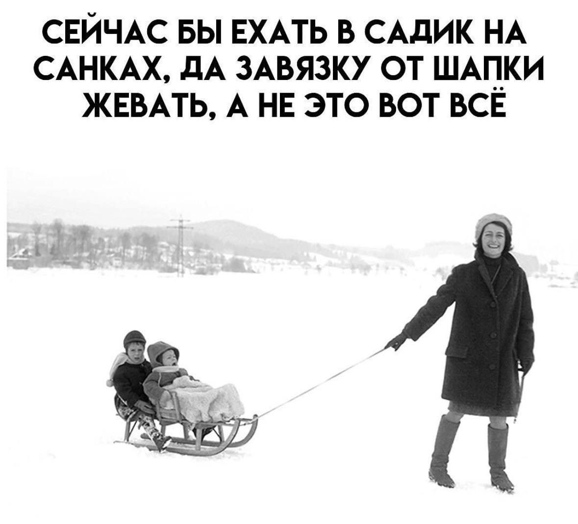 СЕЙЧАС БЫ ЕХАТЬ В САДИК НА САНКАХ, ДА ЗАВЯЗКУ ОТ ШАПКИ ЖЕВАТЬ, А НЕ ЭТО ВОТ ВСЁ