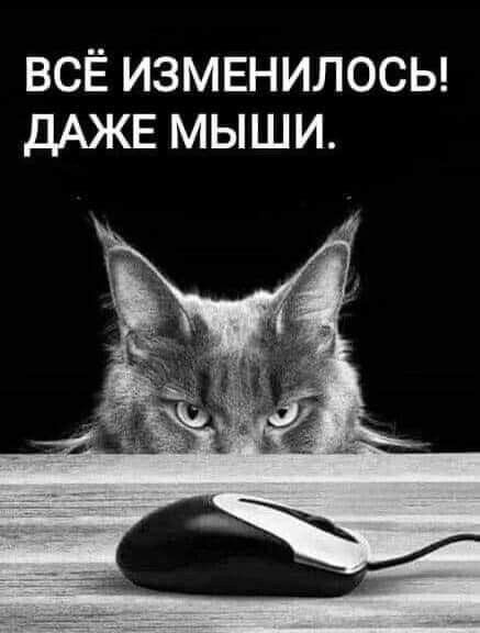 ВСЁ ИЗМЕНИЛОСЬ! ДАЖЕ МЫШИ.