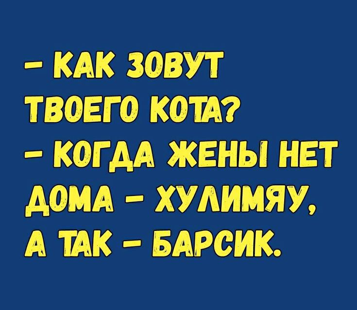 - как зовут твоего кота? - когда жены нет дома - хулиму, а так - барсик.