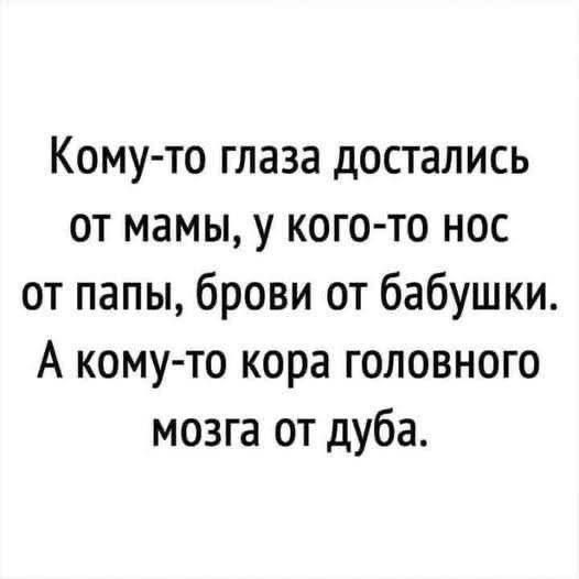 Кому-то глаза достались
от мамы, у кого-то нос
от папы, брови от бабушки.
А кому-то кора головного
мозга от дуба.