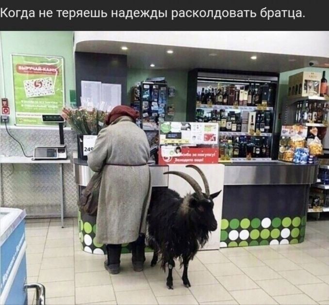 Когда не теряешь надежды расколдовать братца.