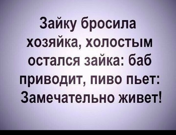 Зайку бросила хозяйка хопостым остался зайка баб приводит пиво пьет Замечательно живет