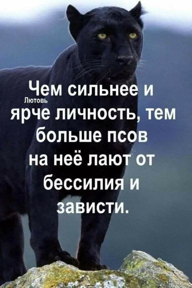 ЫЁМ сильнее и ярче личность тем больше псов на неё лают от бессилия и ЗЗВИСТИ