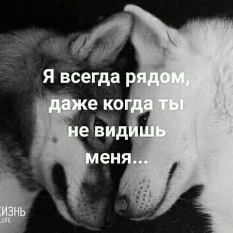 Я всегда