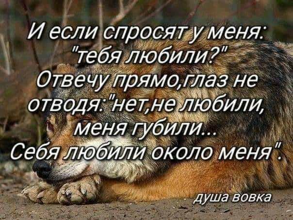 И еслиіспросядменя В тебя любили Меня пбили СебяЁл коло меня