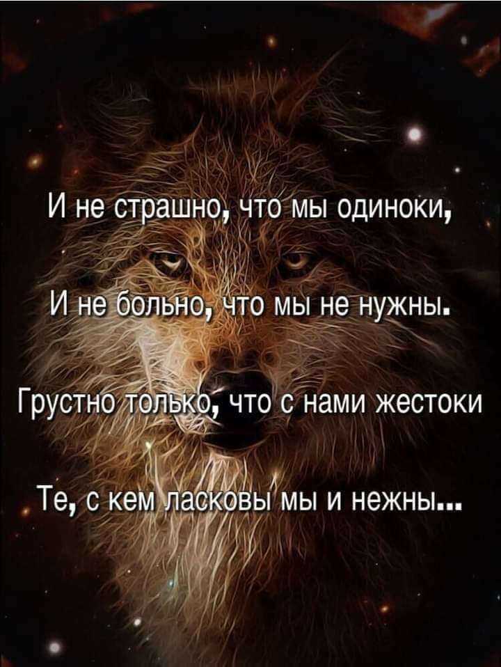ТОМЫ ОДИНОКИ о 1 ГРУ тглыт что И и