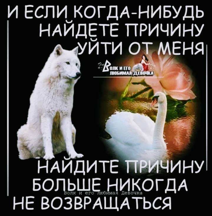ИЕСПИ КОГДА НИБУДЬ НАЙДЕТЕ ПРИЧИНУ БОЛЬШЕНИКОГДА НЕ ВОЗВРАЩАТЬСЯ