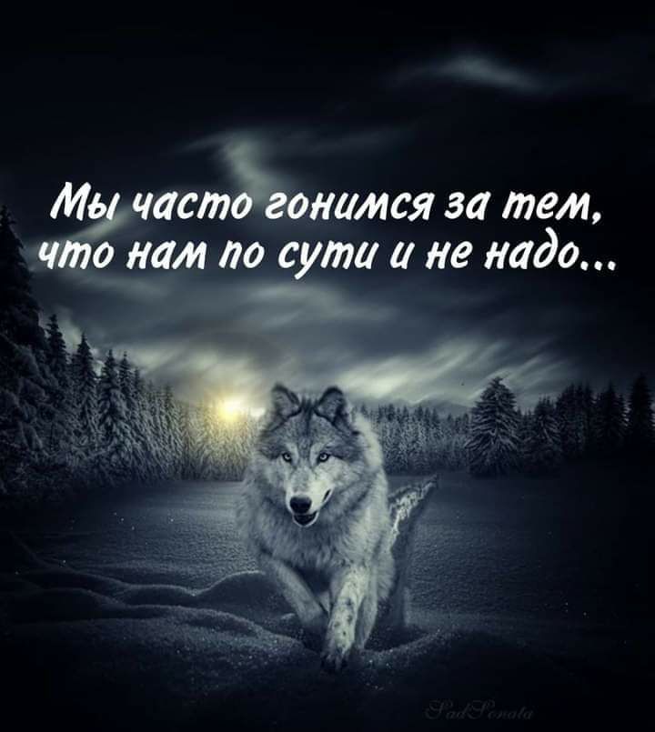 штыками за тем со нам до слиане надо