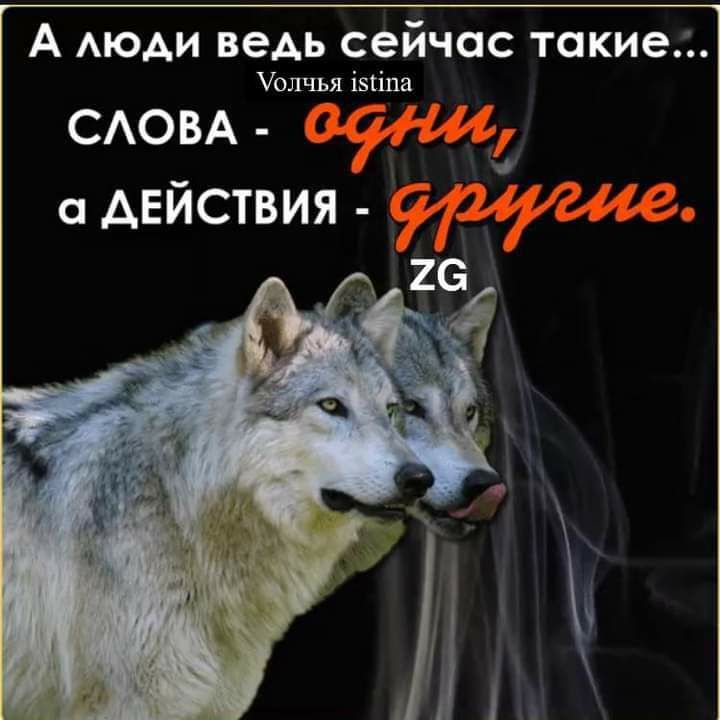 А АЮАИ ВЕАЬ сейчас такие оичья шіпв САОВА АЕЙСТВИЯ