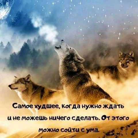 Самое питье Когда мужи ждать и не мжець ничего сделапь 01 этого