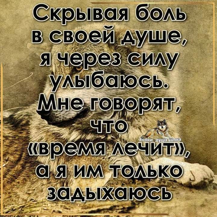 Сцылки Аь РЯШТи