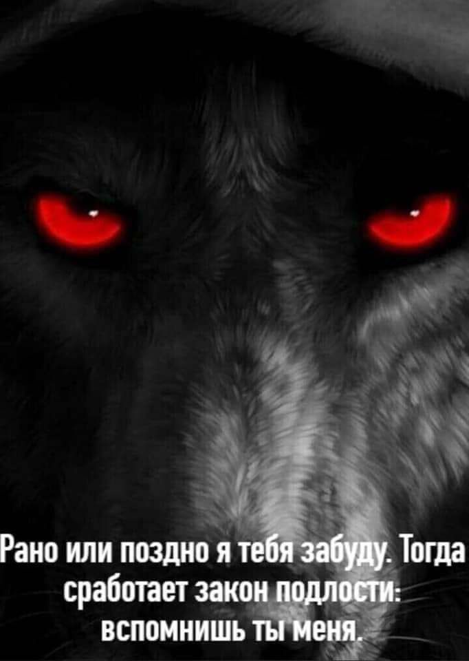 срабтет _ вшоииишь