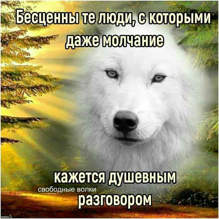 кажется душевным 4 _ свободные валки разговором