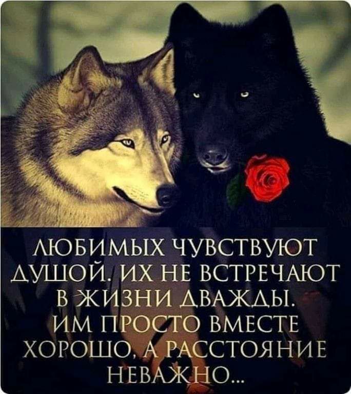 АЮБИМЫХЧУВСТВУЮТ АУШОЙ ИХ ЁЕ ВСТРЕЧАЮТ в ЖИЗНИ АВАЖАЫ им просто ВМЕСТЕ хорошо А РАССТОЯНИЕ НББОКНО