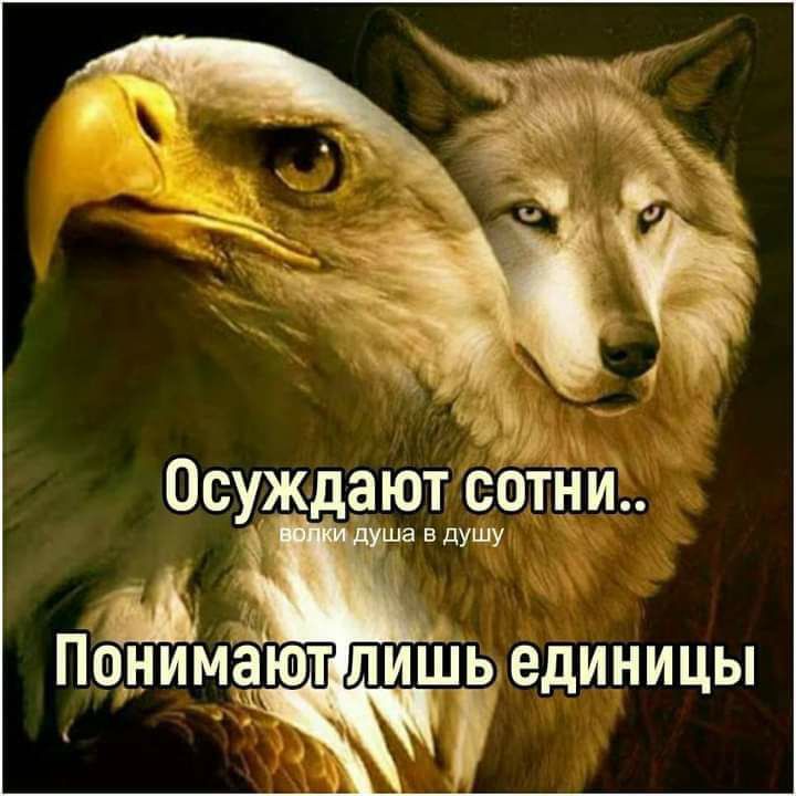 Осуждают сотни душу О_НИМЁЮТ ЛИШЬ единицы