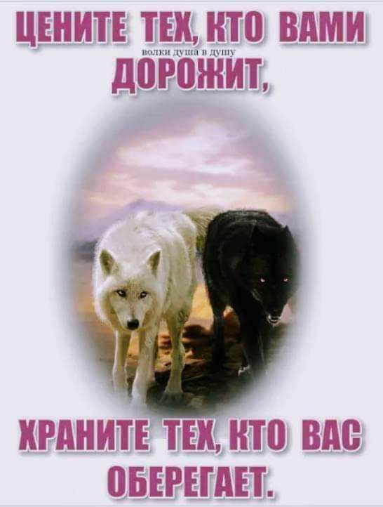 цънит 510 вдми дорожит ПИШИТЕ ТЕК НТП ВМ ПБЕРЕГАЕТ